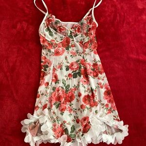 Floral Rose Print Sheer Mini Dress